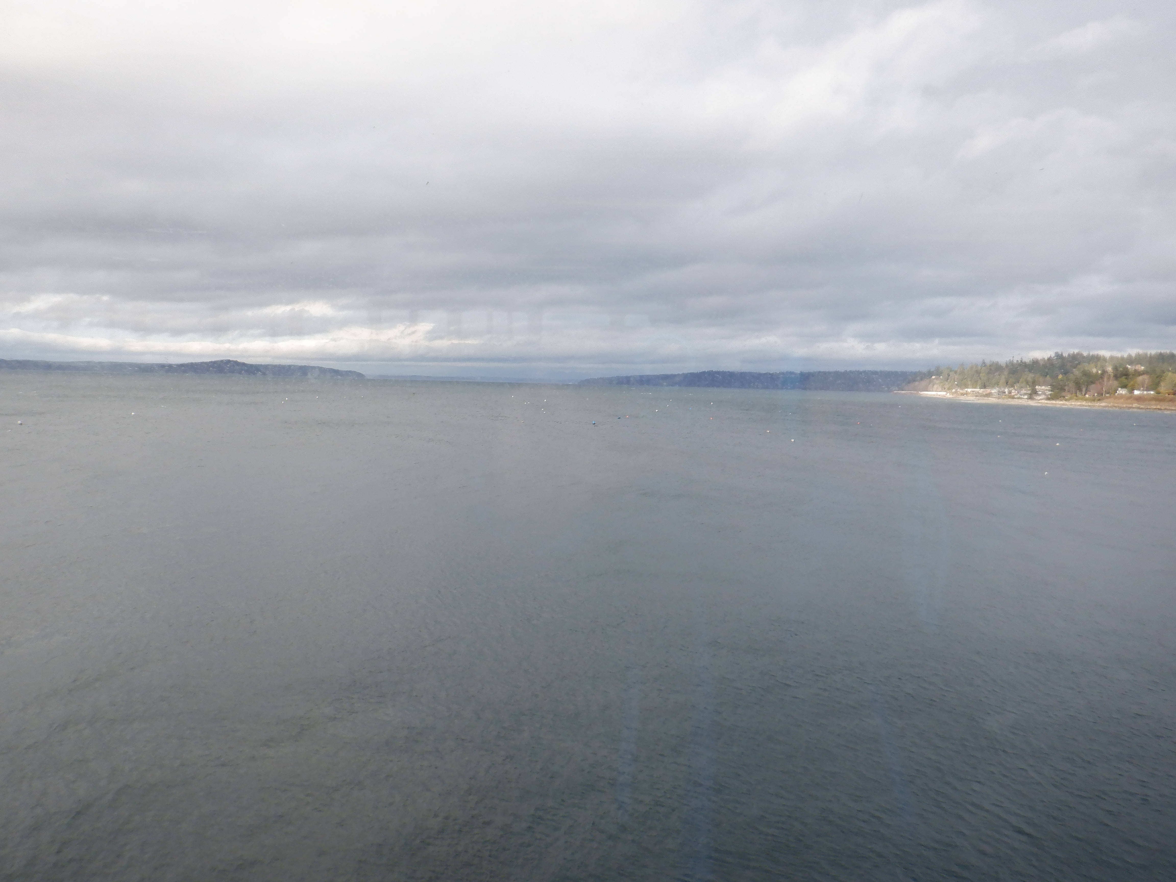 ./2020/03 - Seattle/AD_CF0935.JPG